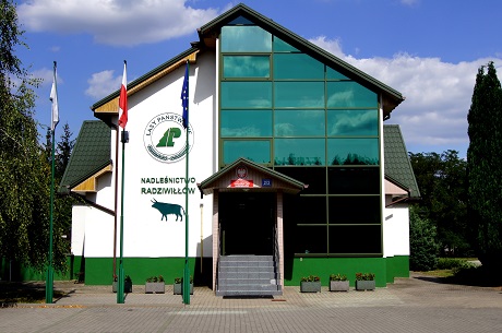Headquarters Nadleśnictwo Radziwiłłów